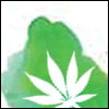 Crónica verde