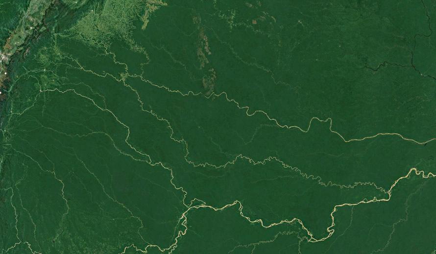 Imagen satelital del Amazonas colombiano tomada de Google Earth